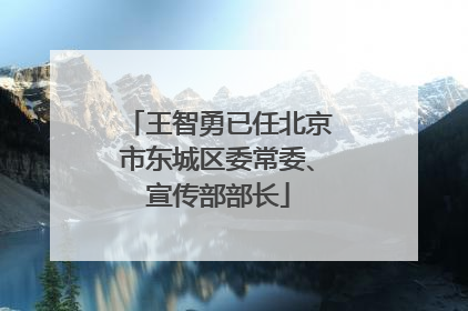 王智勇已任北京市东城区委常委、宣传部部长