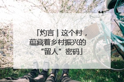 灼言｜这个村，蕴藏着乡村振兴的“留人”密码