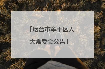 烟台市牟平区人大常委会公告