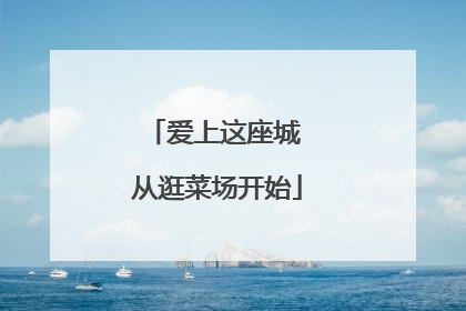 爱上这座城 从逛菜场开始