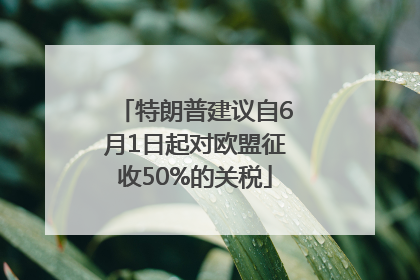 特朗普建议自6月1日起对欧盟征收50%的关税