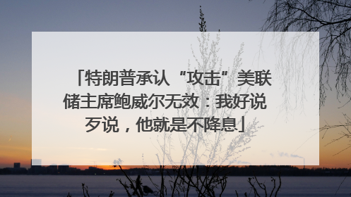 特朗普承认“攻击”美联储主席鲍威尔无效：我好说歹说，他就是不降息