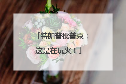 特朗普批普京：这是在玩火！