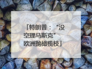 特朗普：“没空理马斯克” 欧洲抛橄榄枝