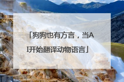 狗狗也有方言，当AI开始翻译动物语言