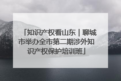 知识产权看山东｜聊城市举办全市第二期涉外知识产权保护培训班