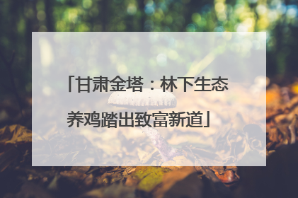 甘肃金塔：林下生态养鸡踏出致富新道