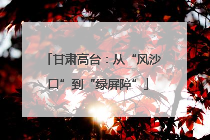 甘肃高台：从“风沙口”到“绿屏障”