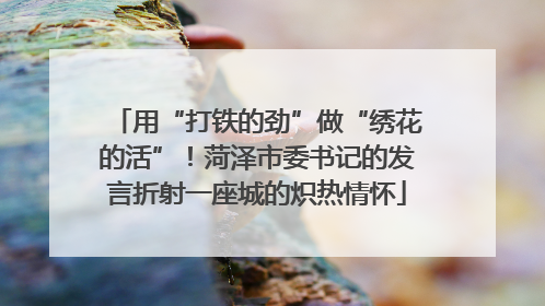 用“打铁的劲”做“绣花的活”！菏泽市委书记的发言折射一座城的炽热情怀