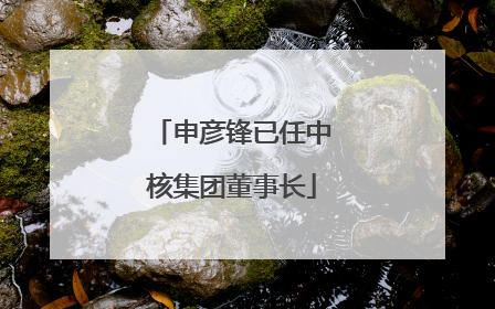 申彦锋已任中核集团董事长