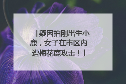 疑因拍刚出生小鹿，女子在市区内遭梅花鹿攻击！