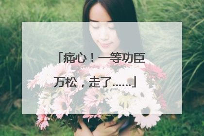 痛心！一等功臣万松，走了……
