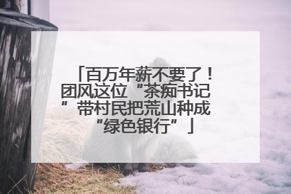 百万年薪不要了！团风这位“茶痴书记”带村民把荒山种成“绿色银行”