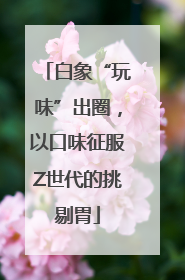 白象“玩味”出圈，以口味征服Z世代的挑剔胃