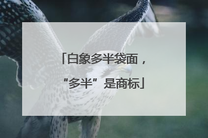 白象多半袋面，“多半”是商标