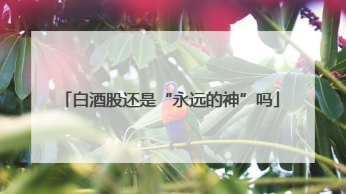 白酒股还是“永远的神”吗