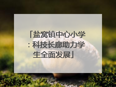 盐窝镇中心小学：科技长廊助力学生全面发展