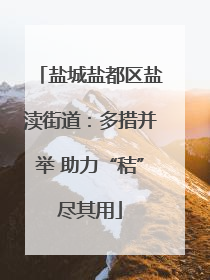 盐城盐都区盐渎街道：多措并举 助力“秸”尽其用