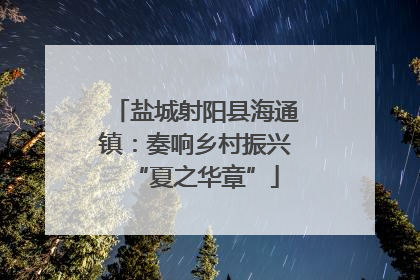 盐城射阳县海通镇：奏响乡村振兴“夏之华章”