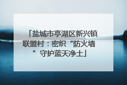 盐城市亭湖区新兴镇联盟村：密织“防火墙”守护蓝天净土