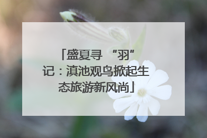 盛夏寻 “羽” 记：滇池观鸟掀起生态旅游新风尚