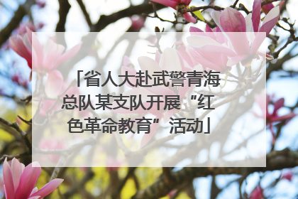 省人大赴武警青海总队某支队开展“红色革命教育”活动