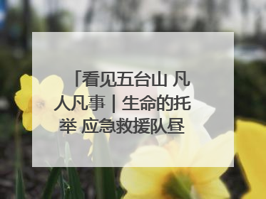 看见五台山 凡人凡事｜生命的托举 应急救援队昼夜连续作战成功救出两批被困游客