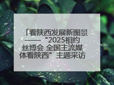 看陕西发展新图景——“2025相约丝博会 全国主流媒体看陕西”主题采访活动见闻