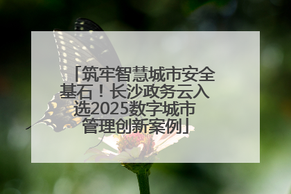 筑牢智慧城市安全基石！长沙政务云入选2025数字城市管理创新案例