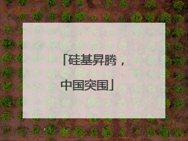 硅基昇腾，中国突围