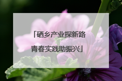 硒乡产业探新路 青春实践助振兴