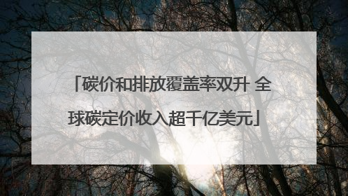 碳价和排放覆盖率双升 全球碳定价收入超千亿美元