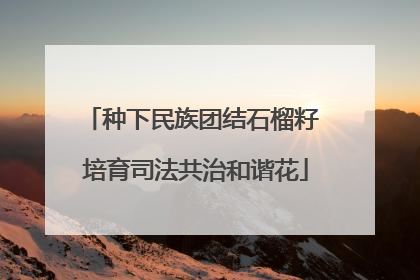 种下民族团结石榴籽 培育司法共治和谐花
