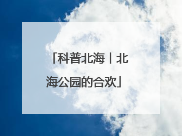 科普北海丨北海公园的合欢