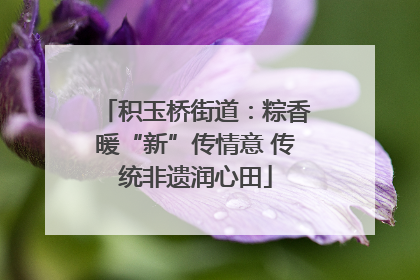 积玉桥街道：粽香暖“新”传情意 传统非遗润心田