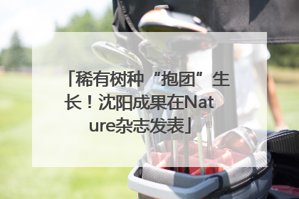 稀有树种“抱团”生长！沈阳成果在Nature杂志发表