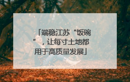 端稳江苏“饭碗”，让每寸土地都用于高质量发展