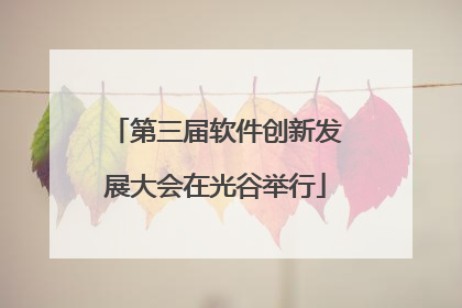 第三届软件创新发展大会在光谷举行