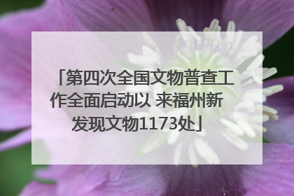 第四次全国文物普查工作全面启动以 来福州新发现文物1173处