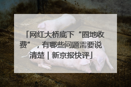 网红大桥底下“圈地收费”，有哪些问题需要说清楚｜新京报快评