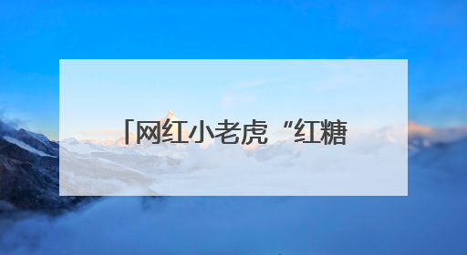 网红小老虎“红糖”将暂停展出？上海动物园：展区改建，会安排展出计划