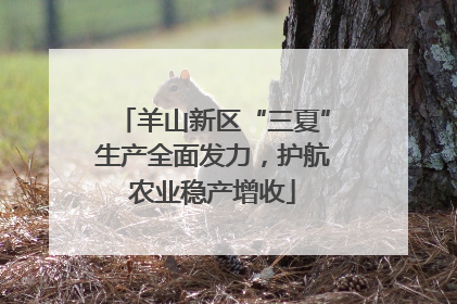 羊山新区“三夏”生产全面发力，护航农业稳产增收