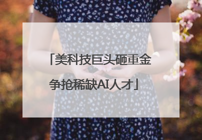 美科技巨头砸重金争抢稀缺AI人才