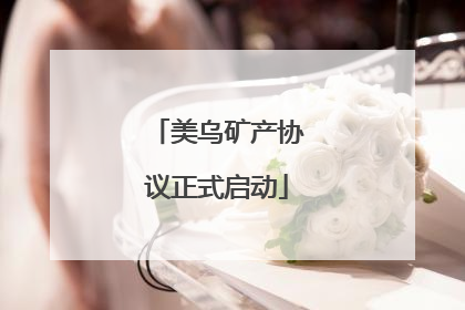 美乌矿产协议正式启动