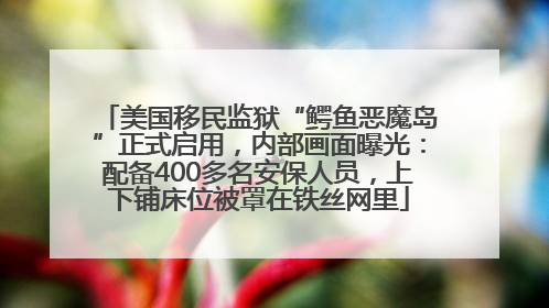 美国移民监狱“鳄鱼恶魔岛”正式启用，内部画面曝光：配备400多名安保人员，上下铺床位被罩在铁丝网里