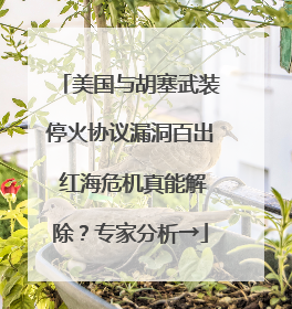 美国与胡塞武装停火协议漏洞百出 红海危机真能解除？专家分析→