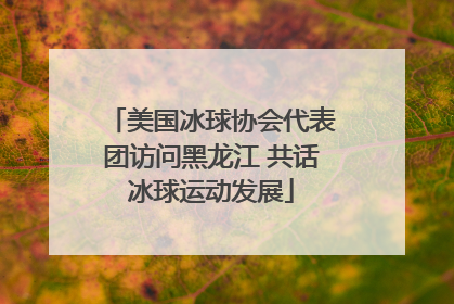 美国冰球协会代表团访问黑龙江 共话冰球运动发展