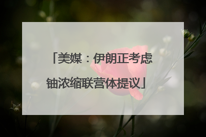 美媒：伊朗正考虑铀浓缩联营体提议