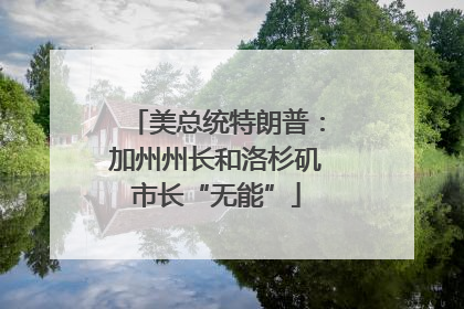 美总统特朗普：加州州长和洛杉矶市长“无能”