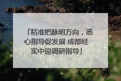 精准把脉明方向，悉心指导促发展 成都经实中迎调研指导